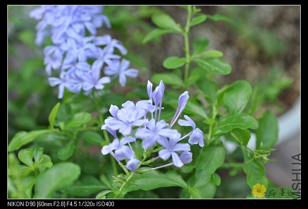 nEO_IMG_��Ƭ 017.jpg