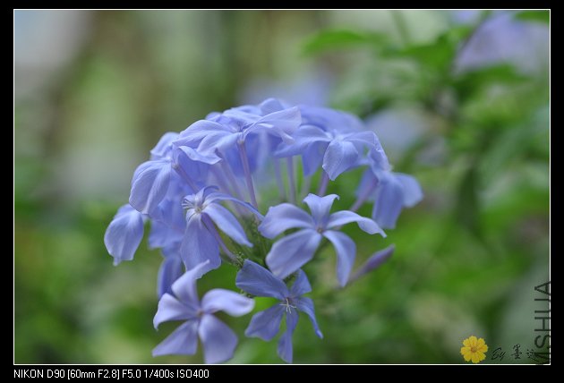 nEO_IMG_��Ƭ 018.jpg