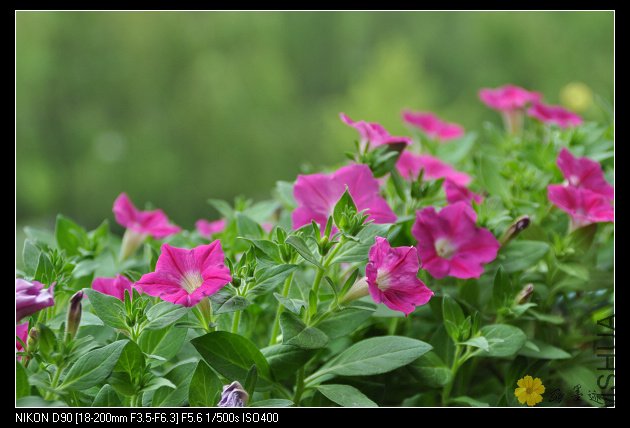 nEO_IMG_��Ƭ 042.jpg