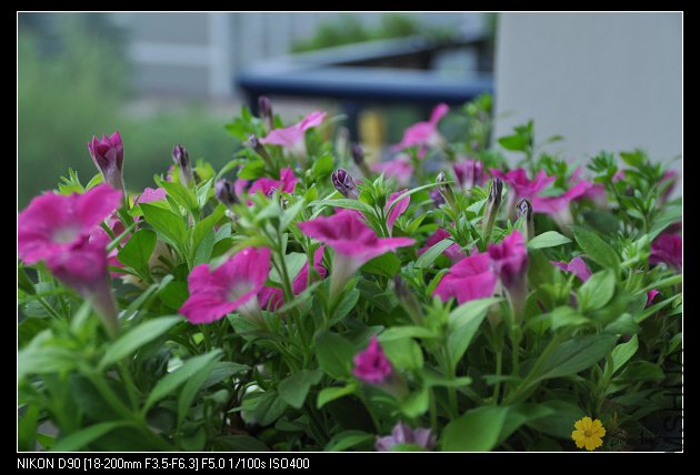nEO_IMG_��Ƭ 063.jpg