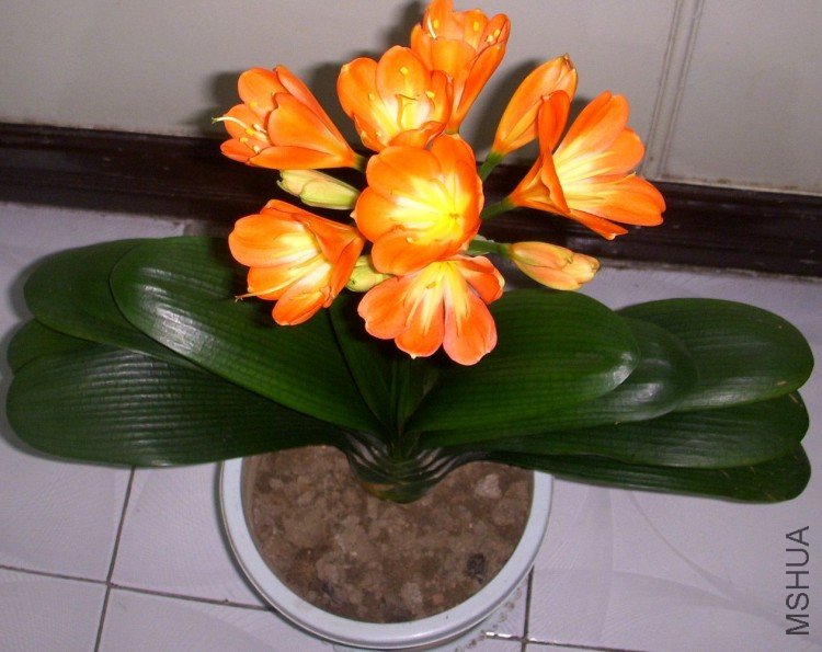 DSCN0555.jpg