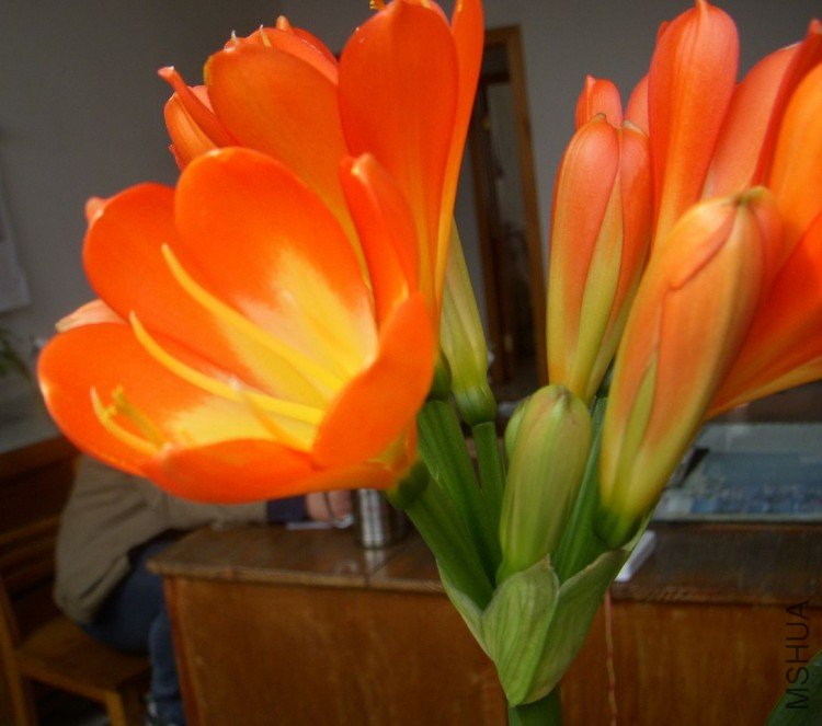 DSCN0582.jpg