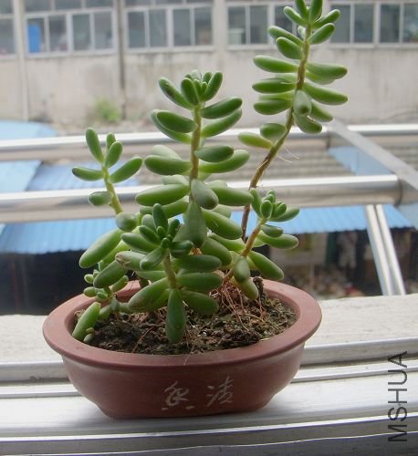 DSCN0293.jpg