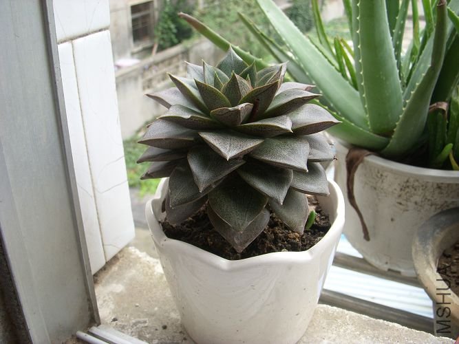 DSCN0285.jpg