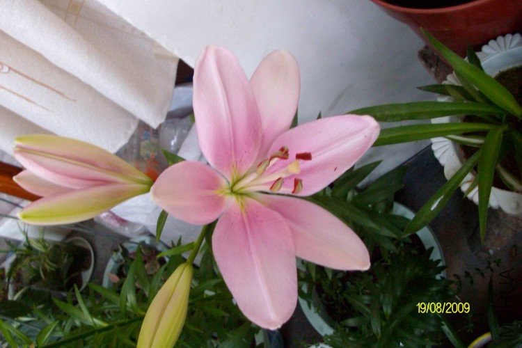 ���ֵ���