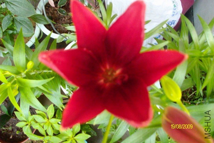 ���˻����󲻹���Ŷ