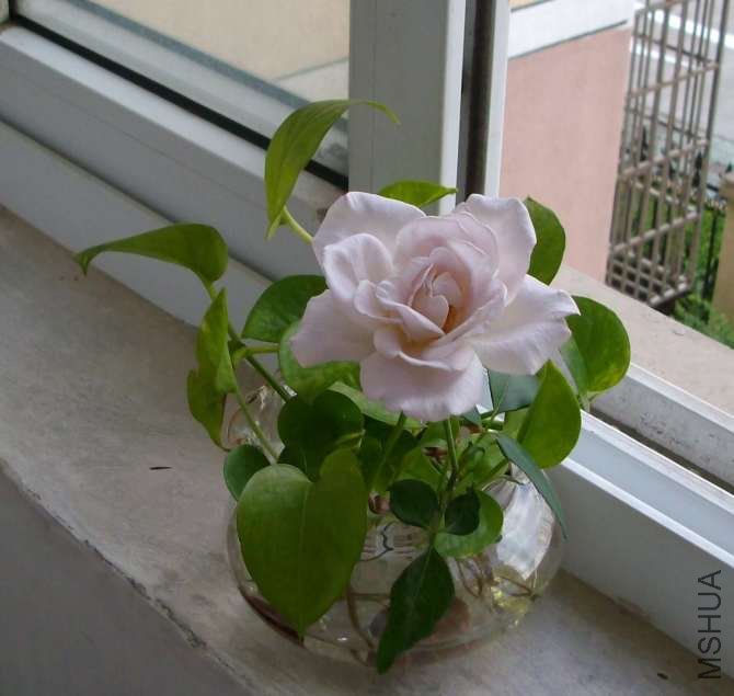 ��˿�������Ҽ����ģ���ǰ���ģ��������л�����