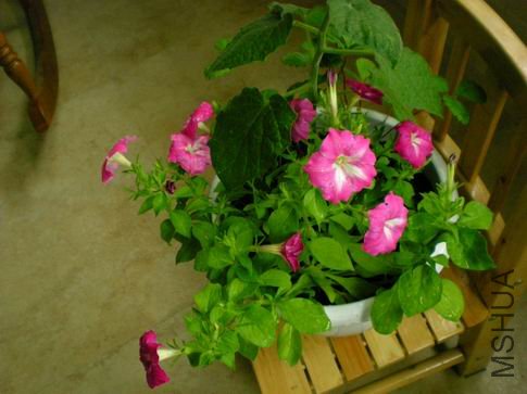 Сʱ�����ϳ��װ�