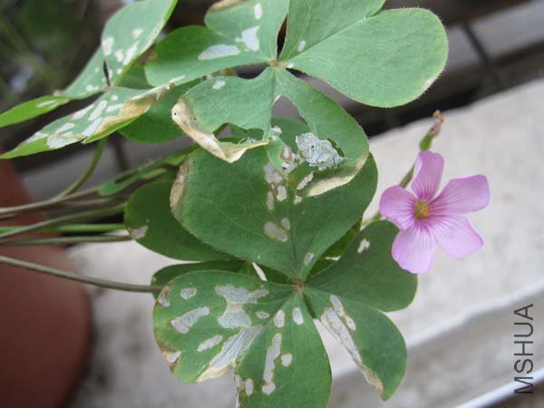 ��Ƭ 063.jpg
