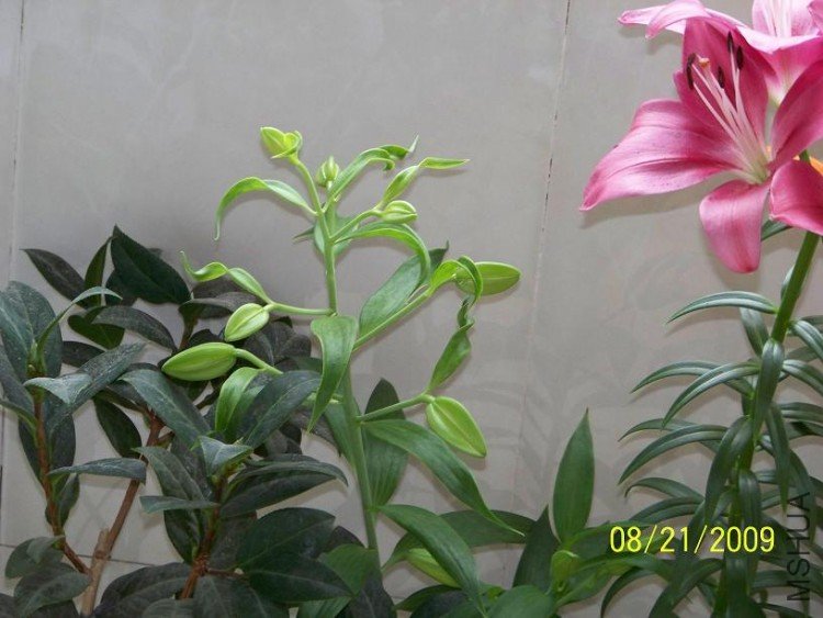 100_1410.JPG
