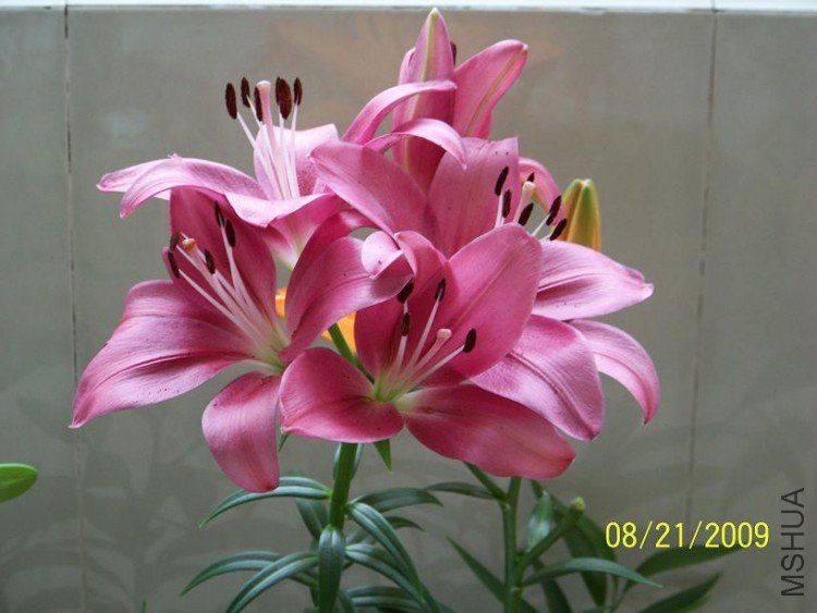 100_1411.JPG