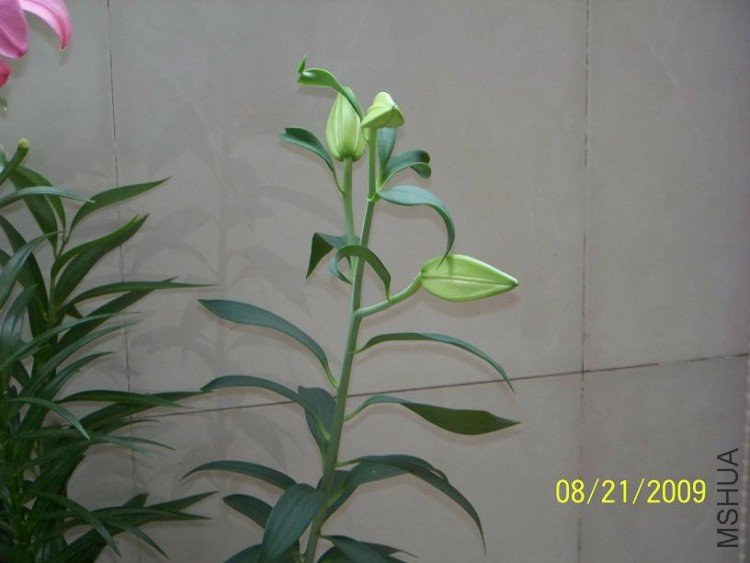 100_1409.JPG