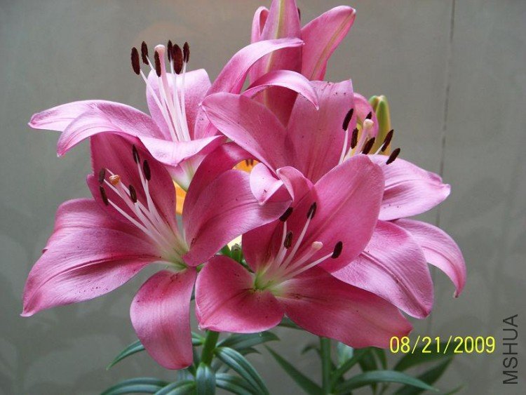 100_1405.JPG