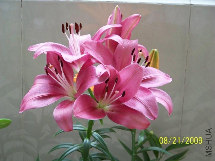 100_1404.JPG