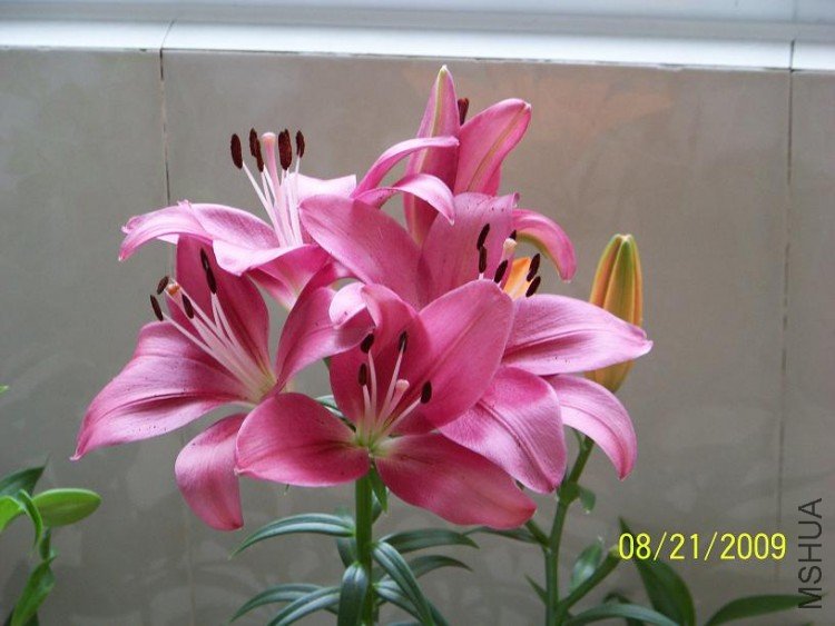 100_1406.JPG