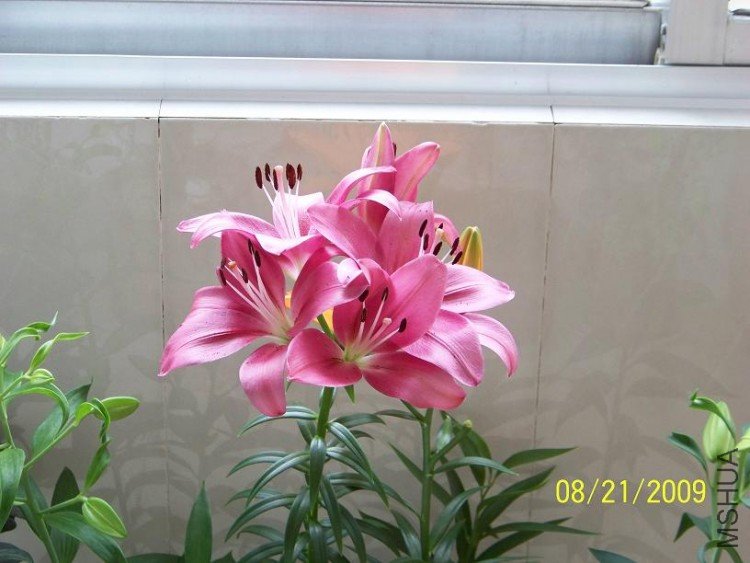 100_1412.JPG