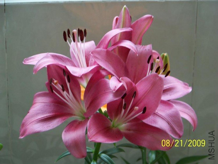 100_1407.JPG