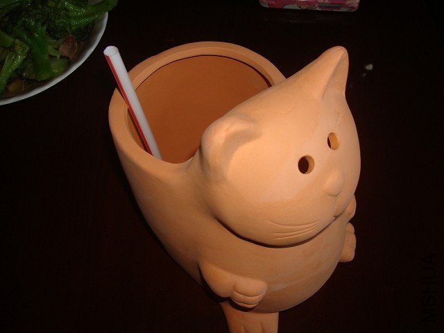 DSC036902.jpg