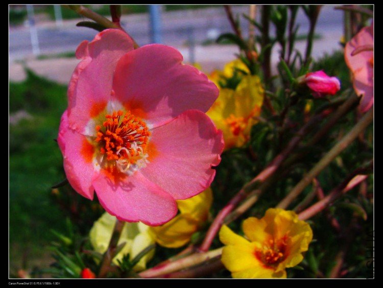 2009.08.23.̫���� 031+1.jpg