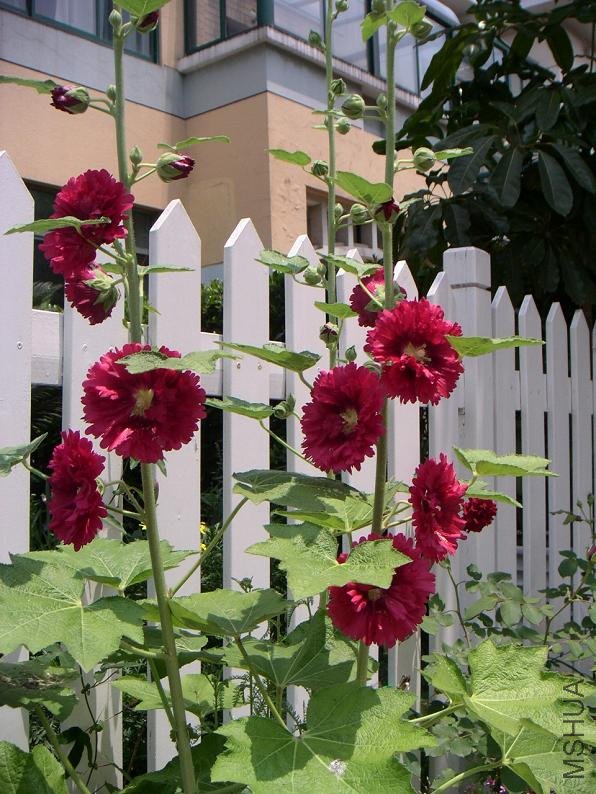 PICT0405.JPG