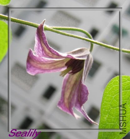 2009-08-23 �ڶ���С�Ŀ���-do.jpg