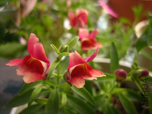 ������С ��Ƭ 109.jpg