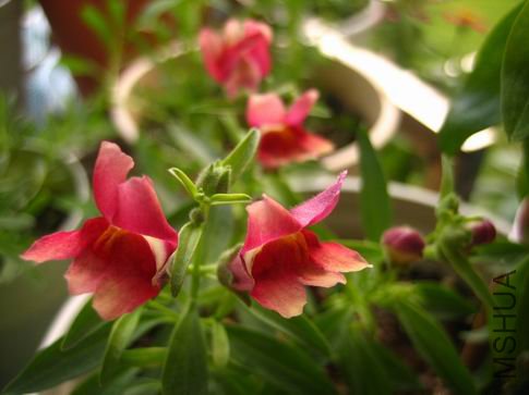 ������С ��Ƭ 119.jpg