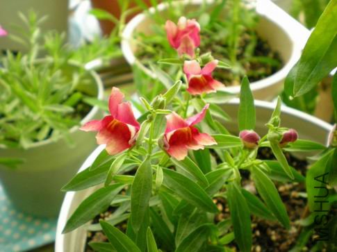 ������С ��Ƭ 137.jpg