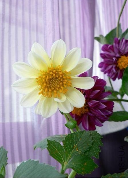 �����������������û�мǴ��Ļ������Ӱ�װ������ôд�ģ����ͻ��ǲ����ģ�����װ�˵�ʱ��̫����