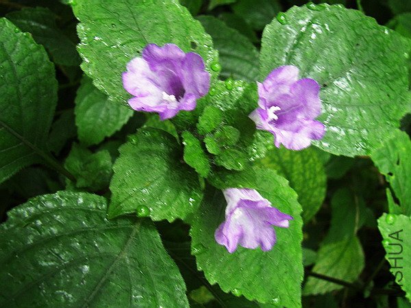 101_6473.jpg