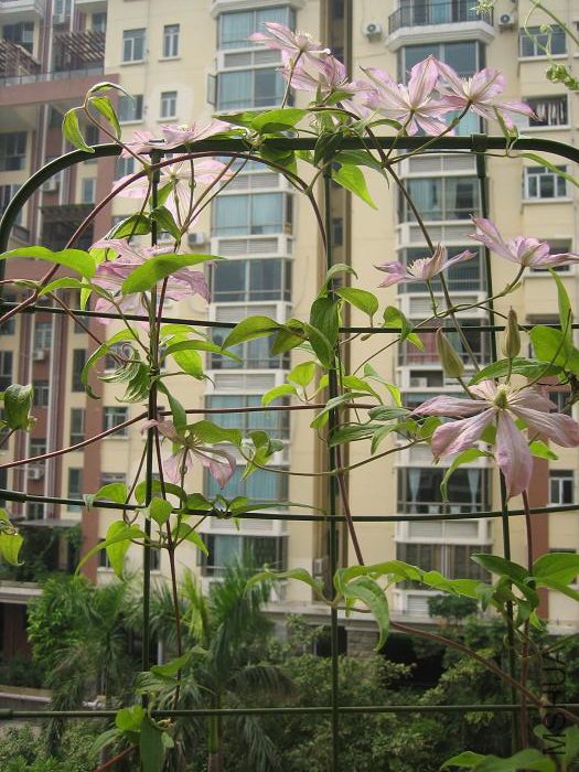 8-24��, �ֿ�������, �����ӿ��������ְ�! �����ͬʱ����ʮ���䰡��