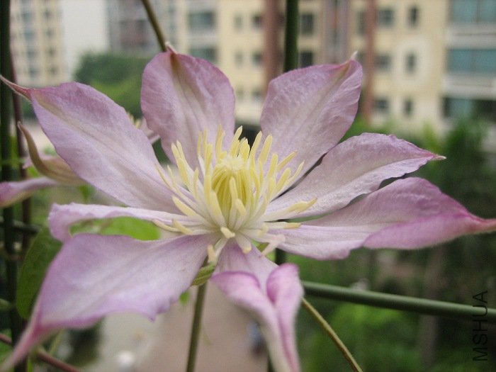 �����ǶȰ��»�����һ��!