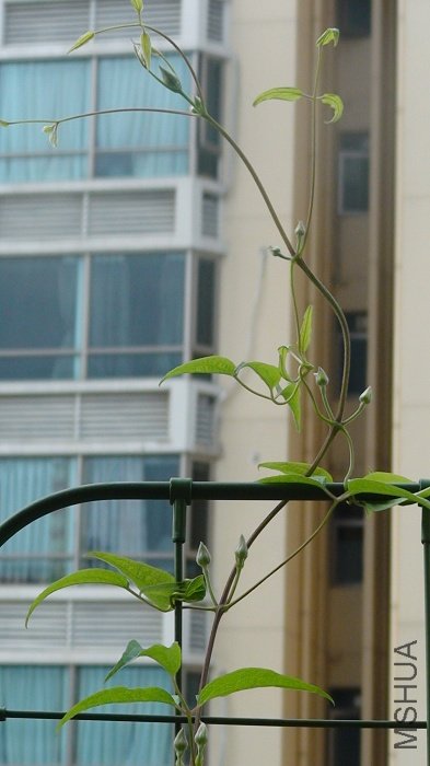 ����8-9��, ��֮ǰ����³��˹�� ȫ��ЩС����! ������! ����µ���ֻ��һ�����Ӷ���Ҳ��һ������14�����٣�