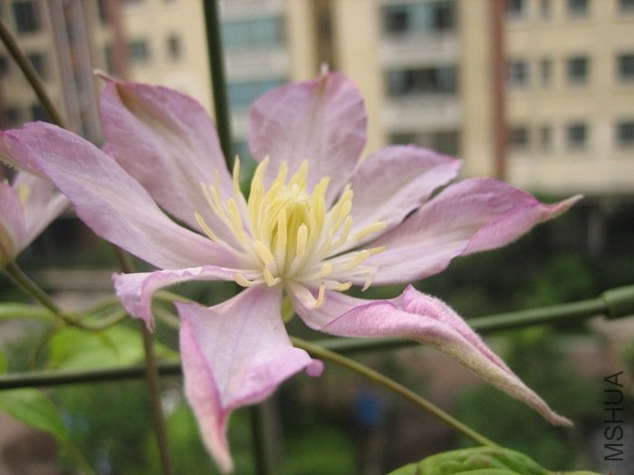 �»���дһ��! ������! �����ɲ�С��! ��ϧ��ʱû��һ��!