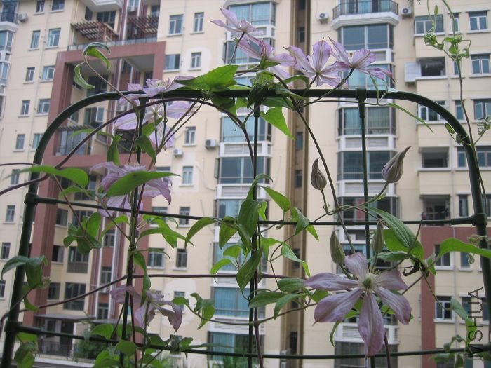 8-23�յ�����, �����Ļ������û�����ô�ؾ���! �ֶ࿪�����䣡�Ѿ���ͬʱ��ʮ���ˣ�