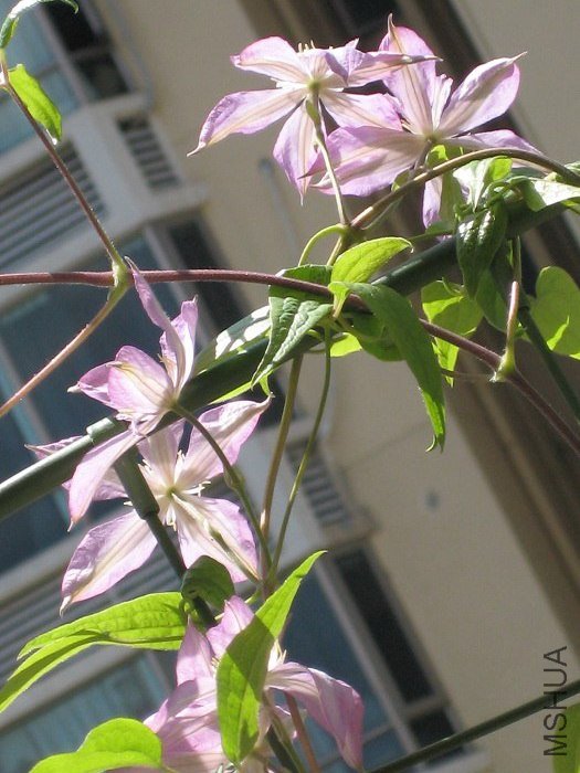 ����дһ�£�ȫ�ǵ���ģ����ǿ�ϧ����