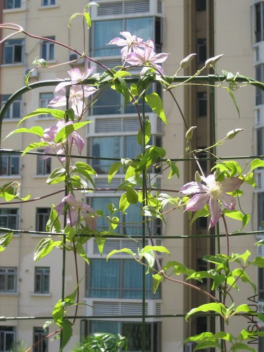 ������ȫ���գ��Ϳ�������һ���������ˣ�