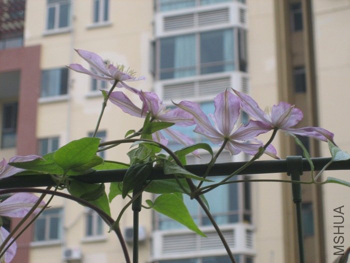 �������Ķ仨����дһ�°�! ����Ƕ��ر������棡