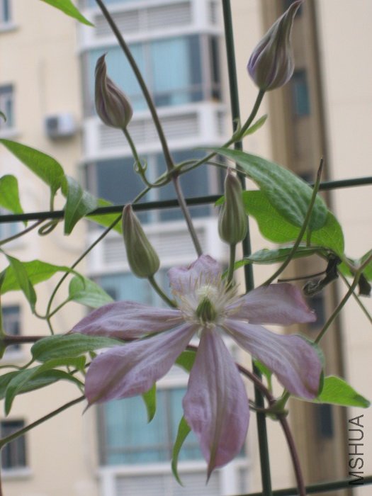 ��дһ�������Ծ޴�Ļ���! �ֿ쿪�˰�!