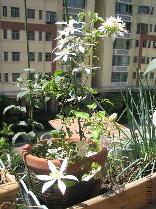 1-20 С����ȫ����.jpg