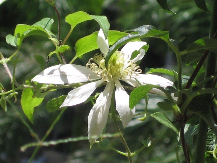 ��仨����дһ�£��е��ذ���!