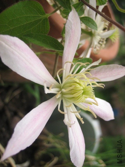 �ڶ�����»�, Ҳ����8-24��, ���Ǵ��˵��!