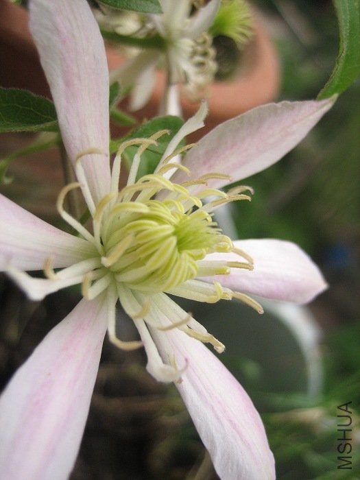 ��������������! ���Ǵ���ۺÿ���������꿪���ذ����������