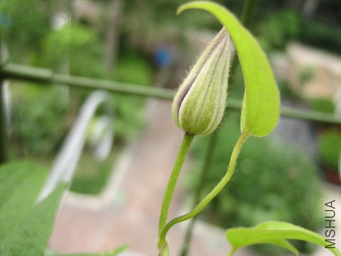 ��д�¿���, �����Ѿ��ѿ���!