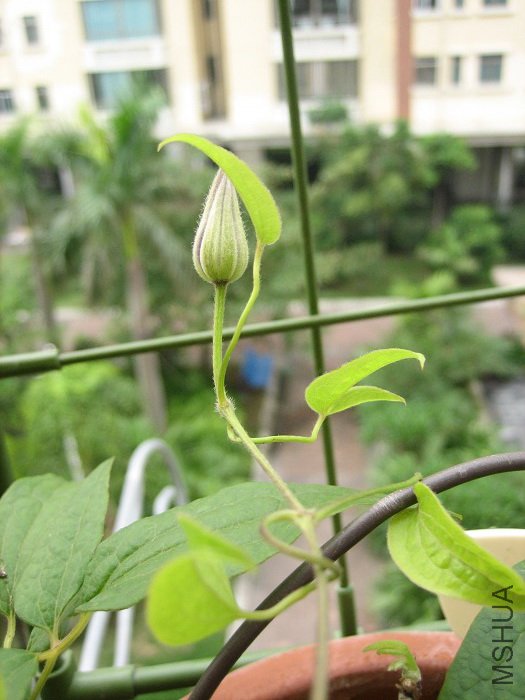 8-24��, ��������󣬻����Ѿ����Գ����˺ܶ�!