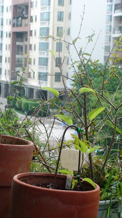 ����8-9����ǰ�Ķ�������ʱ��û�л���!