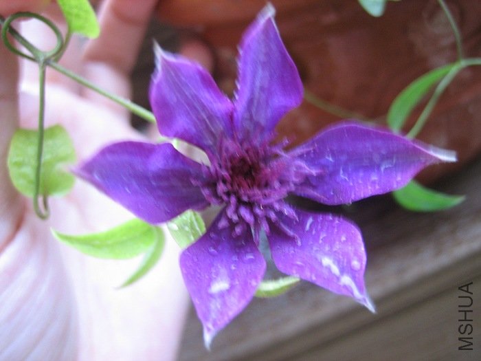 8-25��, ��������������, ��һ���춼û��ȫ��! 8-26��, ����, �ĵ������еĶ���! ��̫����!