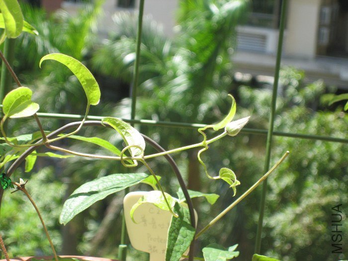 �����8-21�ջ����󿴵��Ļ��٣��������Ӱ����ģ�����Ҳ��СС�ģ�