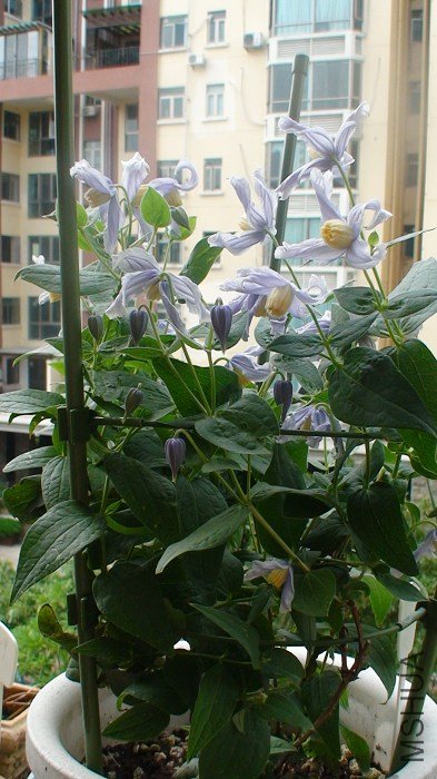 ������ǰ��ǳ���������ܾ�������Ӱɣ�ÿ�쿪��20���أ�