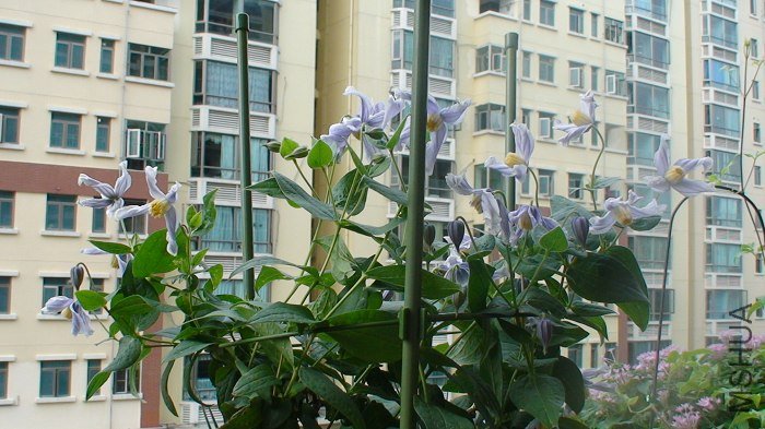 ����������ô��Ļ�����